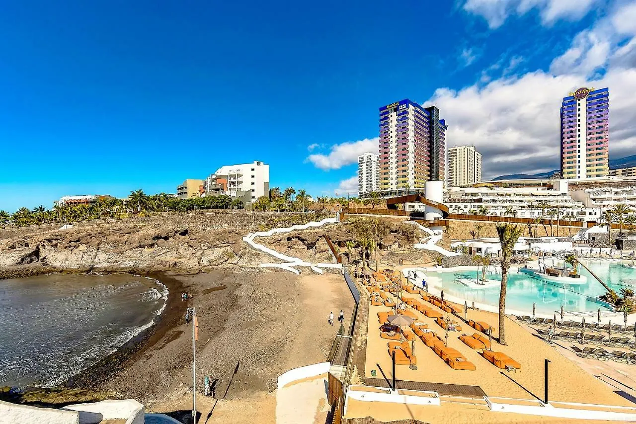 Studio On The Ocean Coast Apartment Costa Adeje  Spain